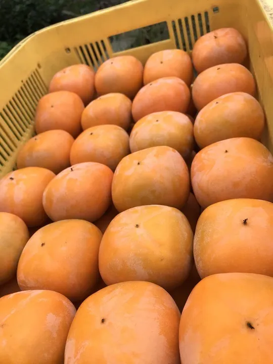 よくいただく質問と回答を一覧でご紹介