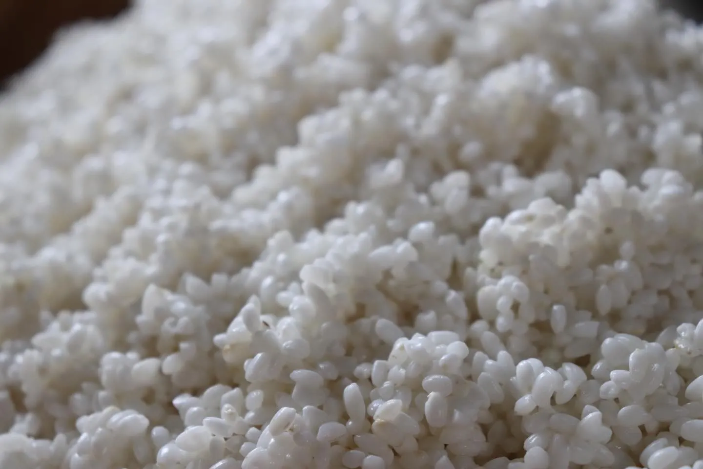 毎年恒例の餅つき！