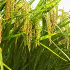 プライバシーポリシー